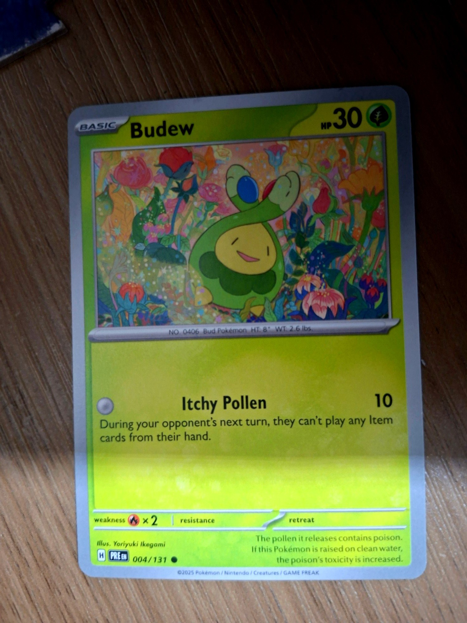 Front of Budew Pokemon card